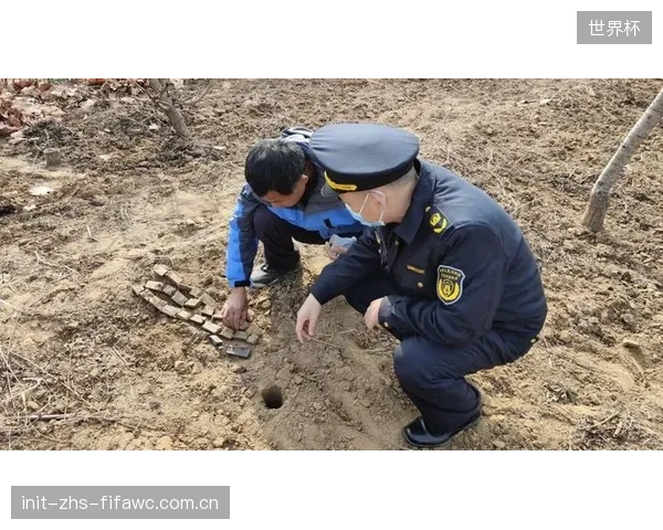 海地队双后腰的屏障作用至关重要，他们将负责保护防线身前的危险区域。